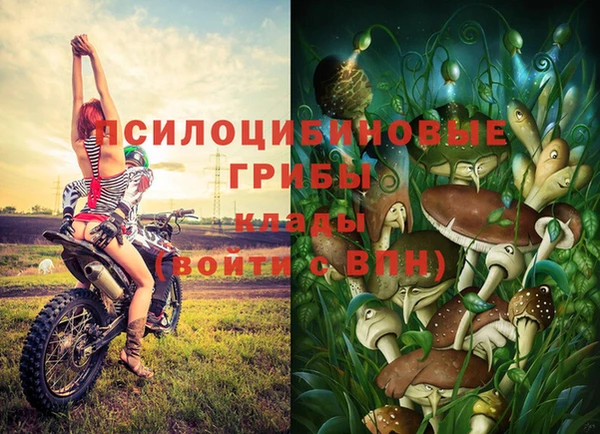 MDMA Армянск