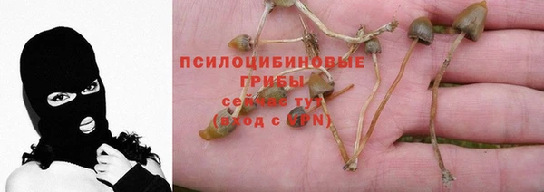 МДМА Пролетарск