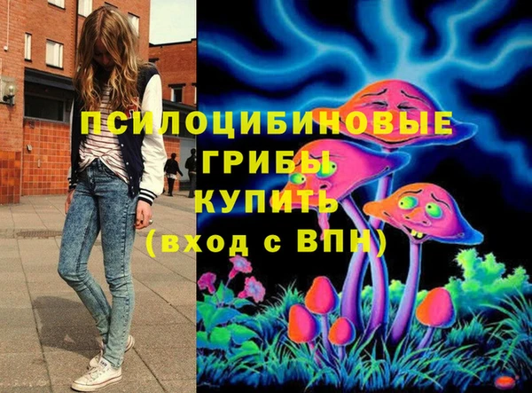 спайс Аркадак